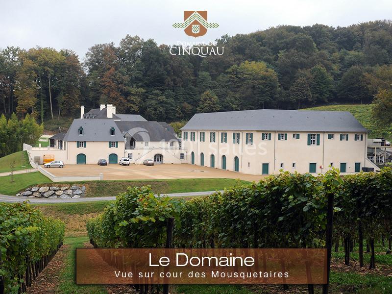 Location salle Artiguelouve (Pyrénées-Atlantiques) - Domaine du Cinquau #4