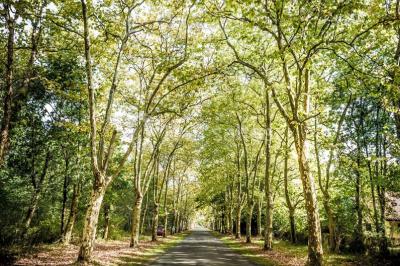 Location salle La Teste-de-Buch (Gironde) - Domaine de la Forge #18