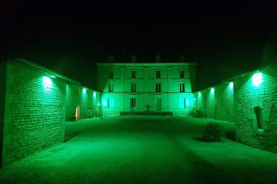 Miniature Location salle Granzay-Gript (Deux-Sèvres) - Château La Bone #22 Un couple de mariés s'embrasse devant une voiture ancienne stationnée dans une cour ensoleillée.