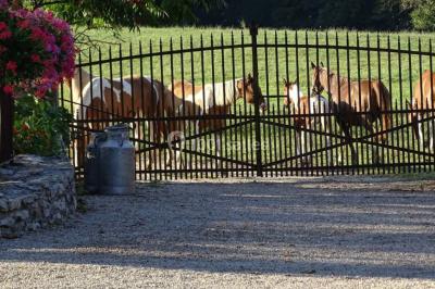 Location salle Vézeronce-Curtin (Isère) - Domaine de La Ferme de Montin #41