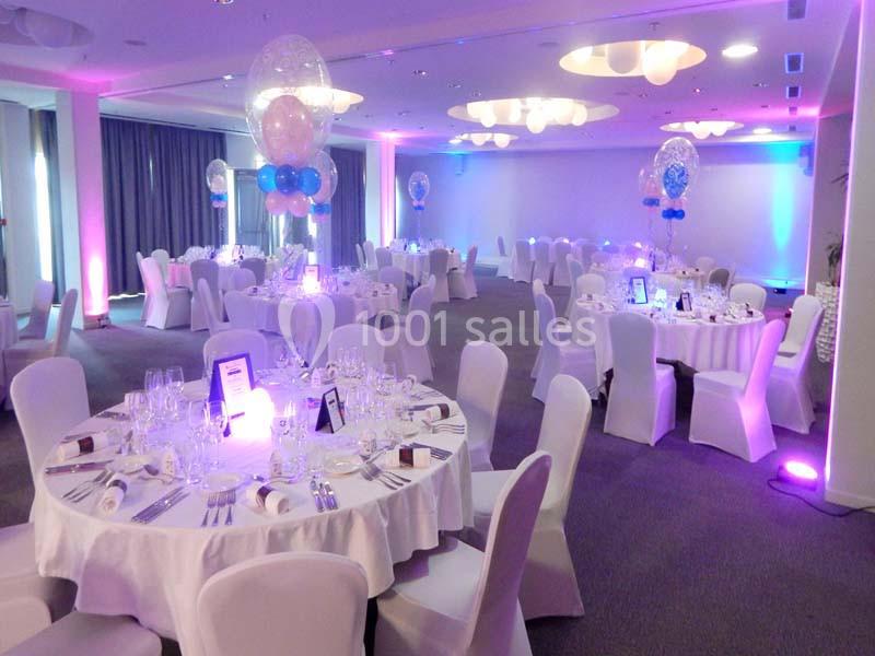 Location salle Blagnac (Haute-Garonne) - Radisson Blu Hôtel, Toulouse Airport #4