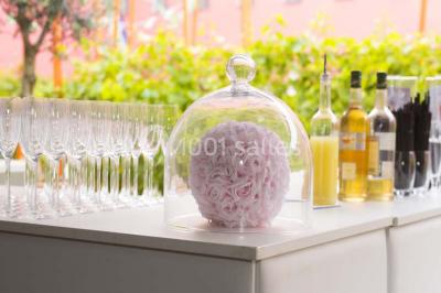 Location salle Blagnac (Haute-Garonne) - Radisson Blu Hôtel, Toulouse Airport #24