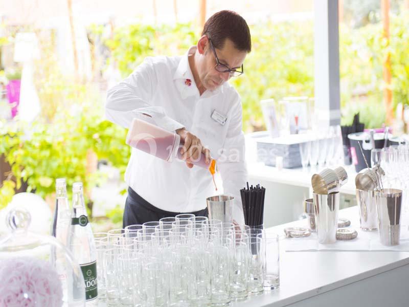 Location salle Blagnac (Haute-Garonne) - Radisson Blu Hôtel, Toulouse Airport #14