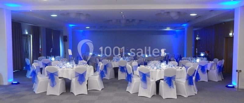 Location salle Blagnac (Haute-Garonne) - Radisson Blu Hôtel, Toulouse Airport #6