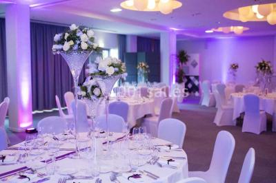 Location salle Blagnac (Haute-Garonne) - Radisson Blu Hôtel, Toulouse Airport #24