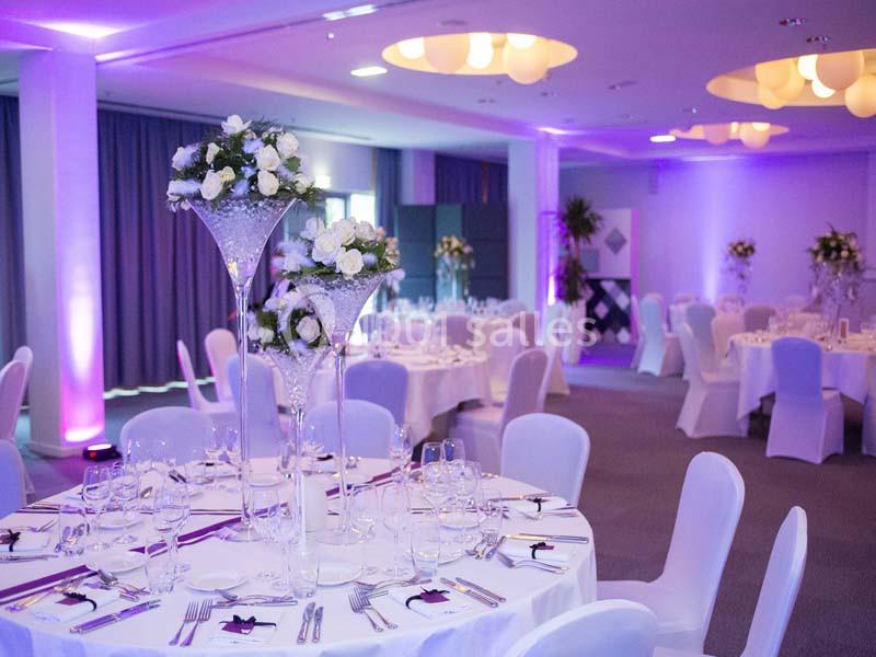 Location salle Blagnac (Haute-Garonne) - Radisson Blu Hôtel, Toulouse Airport #5