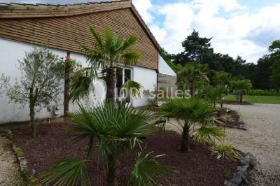 Allée gravillonnée bordée de verdure et de plantes, menant à une entrée avec des arches blanches sous un ciel dégagé.