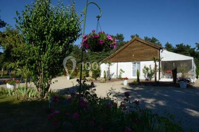 Allée gravillonnée bordée de verdure et de plantes, menant à une entrée avec des arches blanches sous un ciel dégagé.