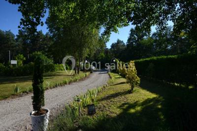 Allée gravillonnée bordée de verdure et de plantes, menant à une entrée avec des arches blanches sous un ciel dégagé.
