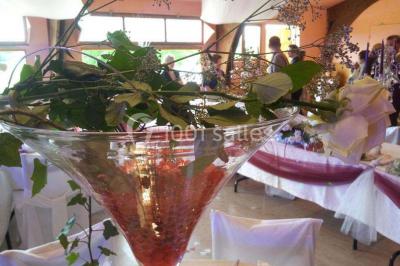 Location salle Saint-Palais (Allier) - Domaine De Lacaud #15