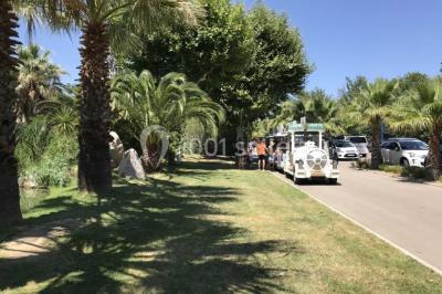 Des animatrices en jupes hawaïennes dansent devant un groupe d'enfants et d'adultes près d'une piscine extérieure.