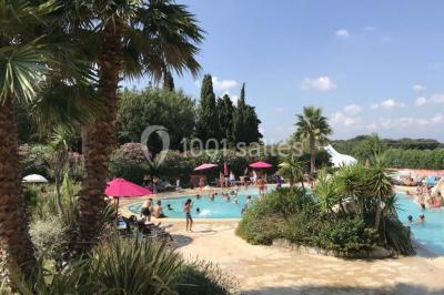 Des animatrices en jupes hawaïennes dansent devant un groupe d'enfants et d'adultes près d'une piscine extérieure.