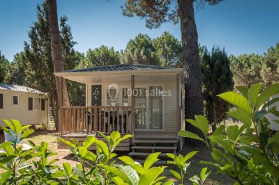 Des animatrices en jupes hawaïennes dansent devant un groupe d'enfants et d'adultes près d'une piscine extérieure.