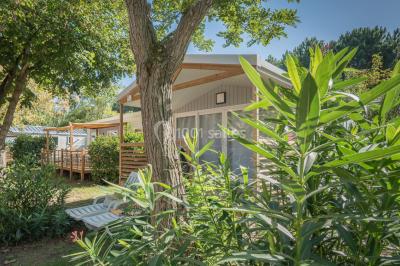 Des animatrices en jupes hawaïennes dansent devant un groupe d'enfants et d'adultes près d'une piscine extérieure.