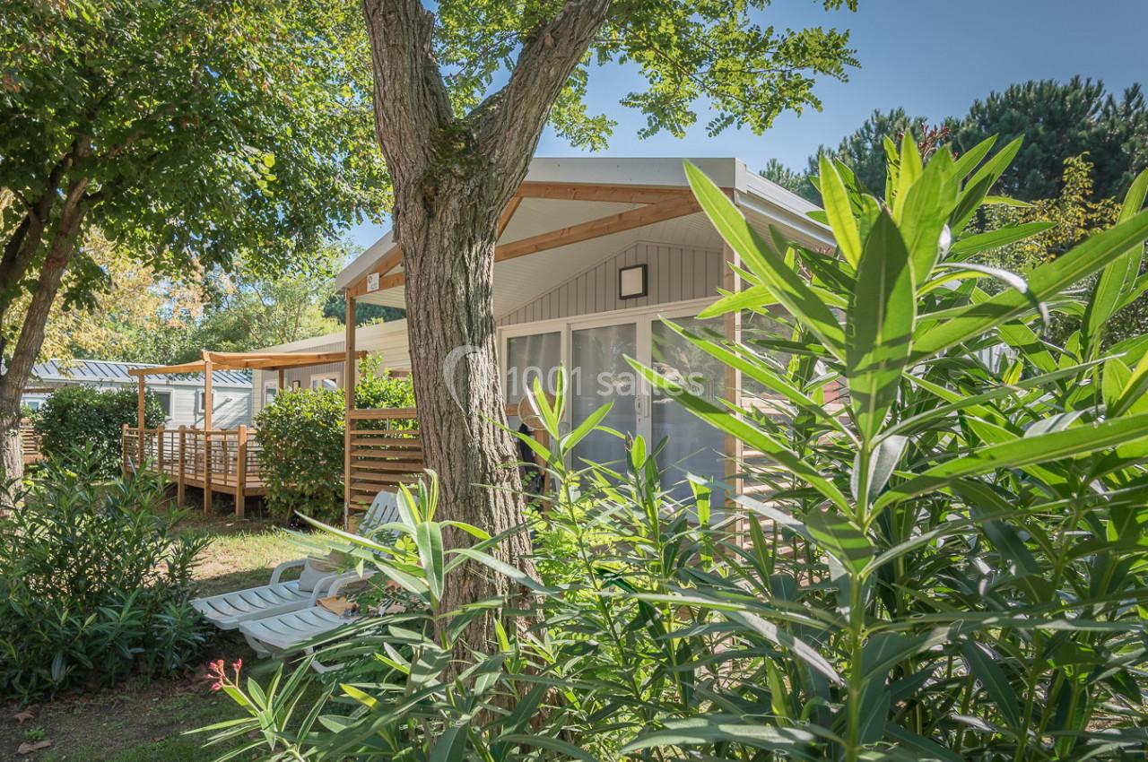 Bungalow en bois entouré de végétation avec terrasse et chaises longues sous un ciel dégagé.
