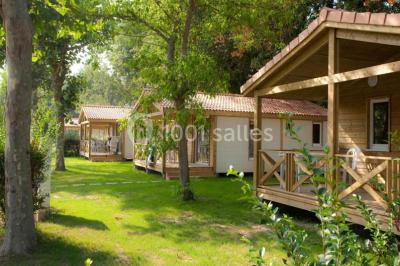 Des animatrices en jupes hawaïennes dansent devant un groupe d'enfants et d'adultes près d'une piscine extérieure.