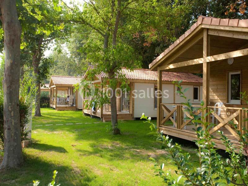 Chalets en bois alignés dans un cadre verdoyant avec arbres et pelouse.