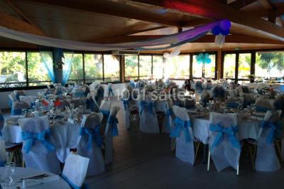 Des animatrices en jupes hawaïennes dansent devant un groupe d'enfants et d'adultes près d'une piscine extérieure.