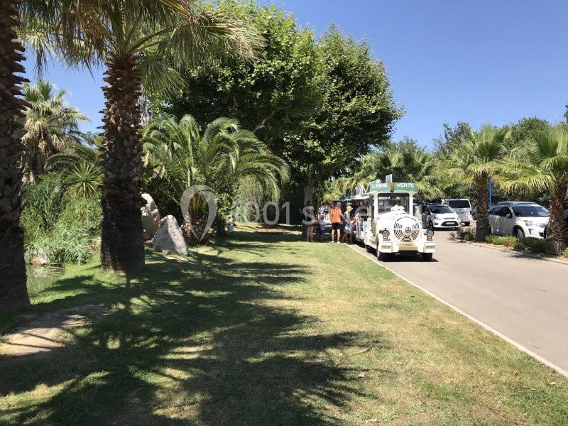 Petit train touristique blanc circulant sur une route bordée de palmiers et d'arbres, avec des passagers à bord.