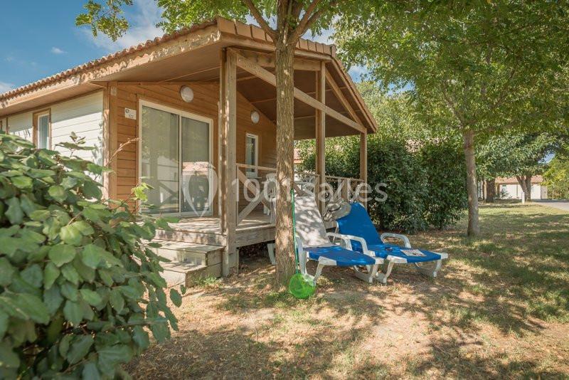 Chalet en bois avec terrasse ombragée, entouré de verdure, équipé de chaises longues sur une pelouse.
