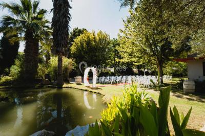 Toboggans aquatiques sinueux entourés de végétation tropicale avec des éléments décoratifs colorés en premier plan.