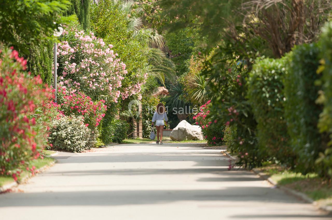 Une femme marche sur un chemin bordé de végétation luxuriante et de fleurs colorées sous un ciel dégagé.