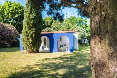 Toboggans aquatiques sinueux entourés de végétation tropicale avec des éléments décoratifs colorés en premier plan.