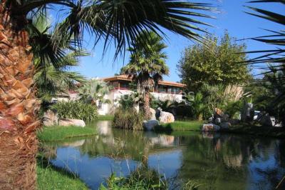 Toboggans aquatiques sinueux entourés de végétation tropicale avec des éléments décoratifs colorés en premier plan.