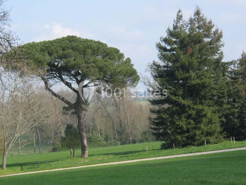 Location salle Craon (Mayenne) - Le Château De Craon #2