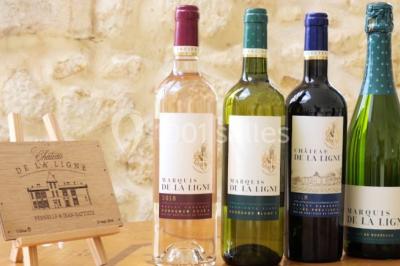 Location salle Lignan-de-Bordeaux (Gironde) - Château de la Ligne #34