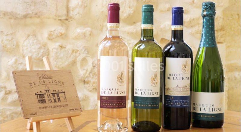 Location salle Lignan-de-Bordeaux (Gironde) - Château de la Ligne #33