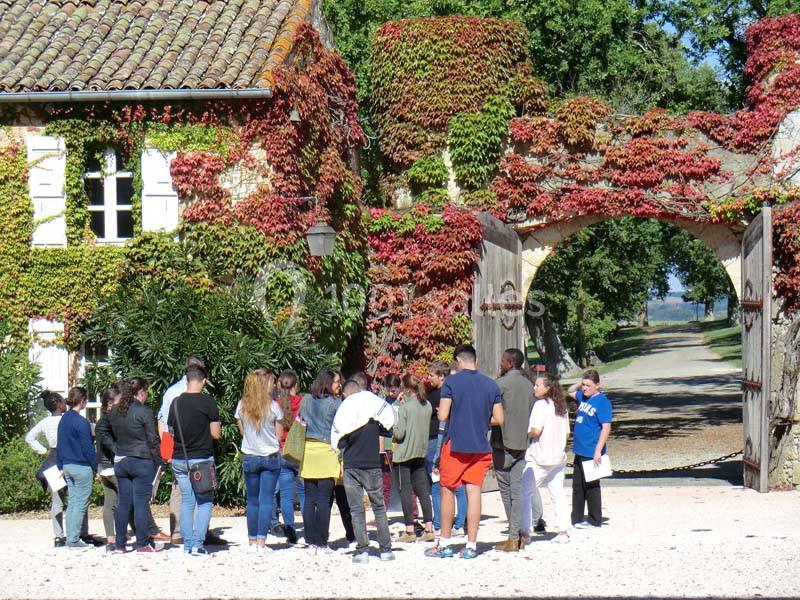 Location salle Caussens (Gers) - Château De Mons Caussens #18