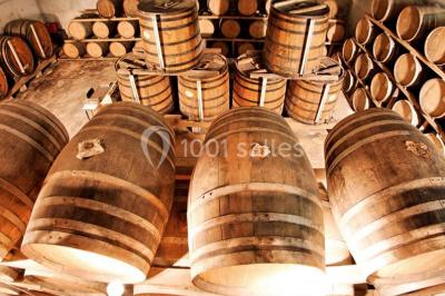 Location salle Caussens (Gers) - Château De Mons Caussens #24