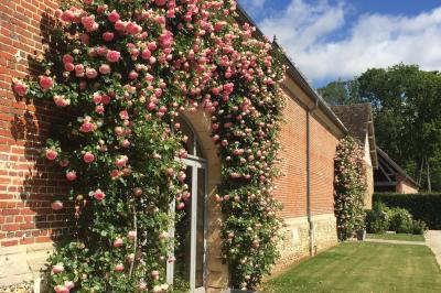 Chambre avec un lit double, un lit simple, deux lampes de chevet allumées et une fenêtre avec rideaux gris.
