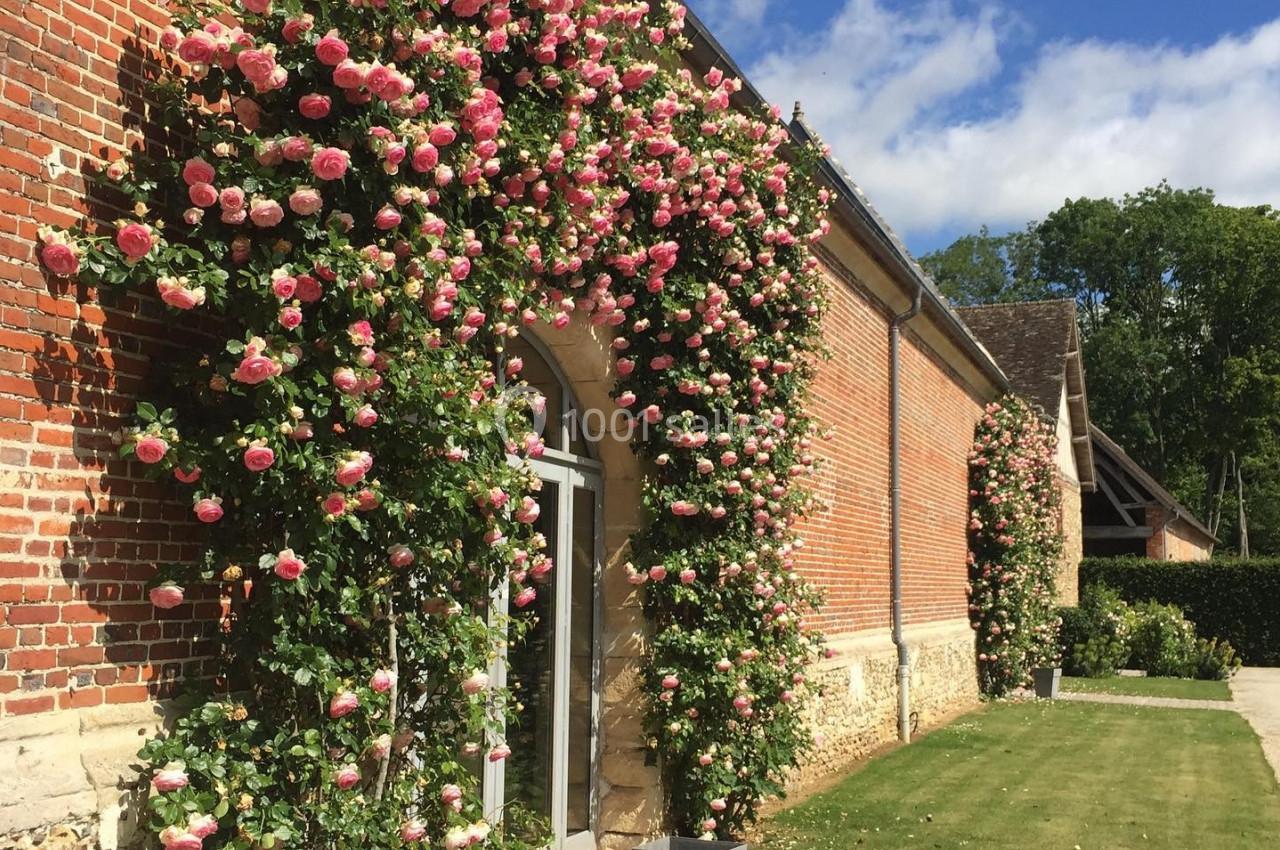 Mur de briques recouvert de rosiers grimpants en fleurs, bordant une allée pavée et une pelouse.
