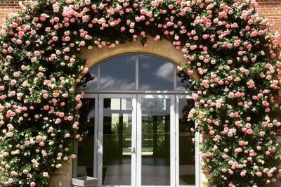 Chambre avec un lit double, un lit simple, deux lampes de chevet allumées et une fenêtre avec rideaux gris.