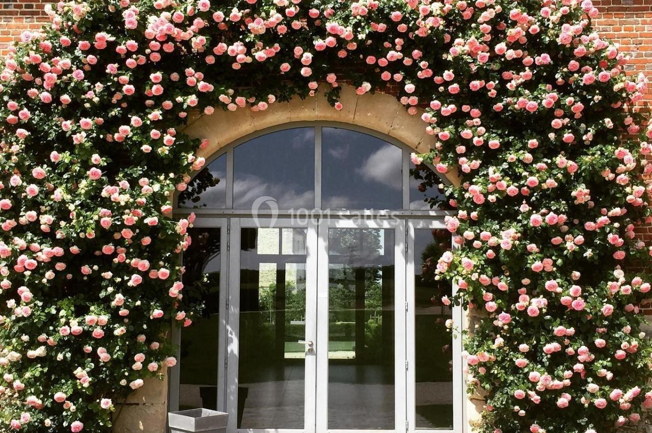 Rosier grimpant couvert de fleurs roses encadrant une porte vitrée en arc sur une façade en briques.