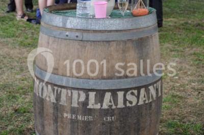 Location salle Montagnat (Ain) - Château De Montplaisant #24