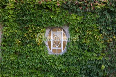 Location salle Montagnat (Ain) - Château De Montplaisant #24