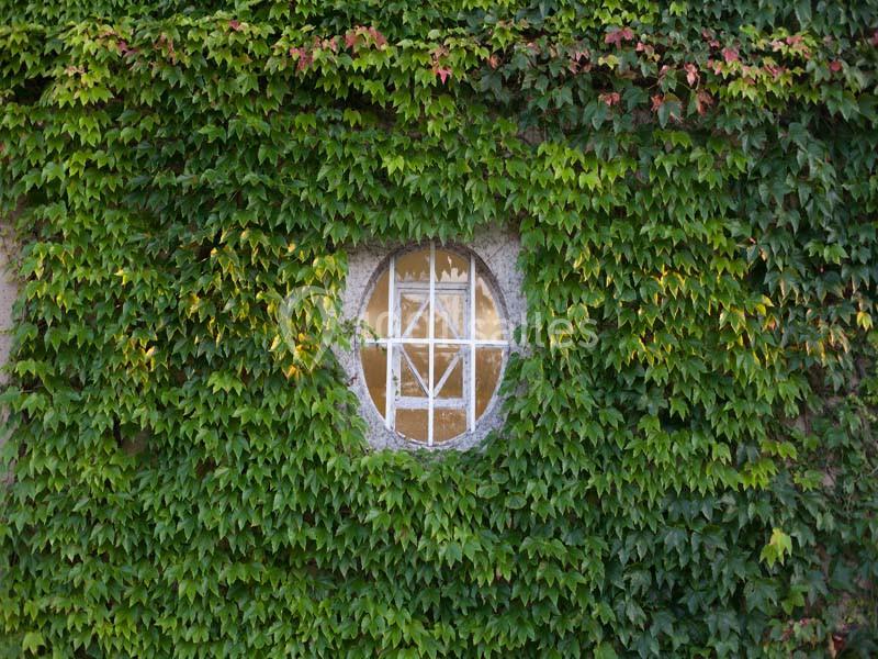 Location salle Montagnat (Ain) - Château De Montplaisant #14