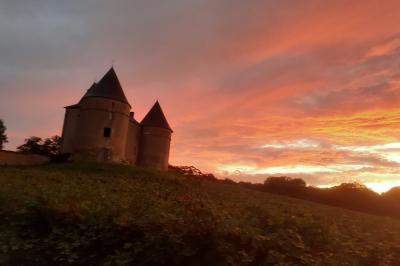 Château de Brie Château de Brie