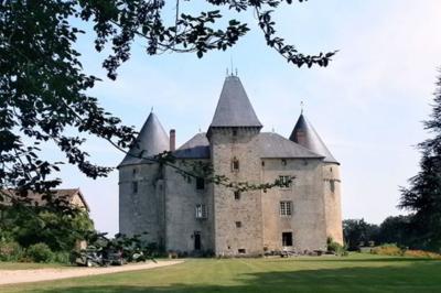 Vue d'un château en pierre entouré d'arbres et d'une pelouse bien entretenue sous un ciel dégagé.