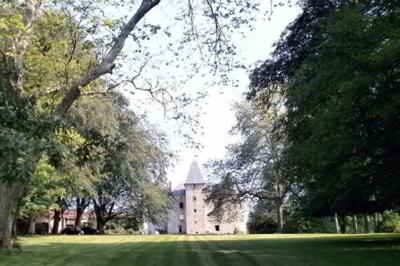 Vue d'un château en pierre entouré d'arbres et d'une pelouse bien entretenue sous un ciel dégagé.