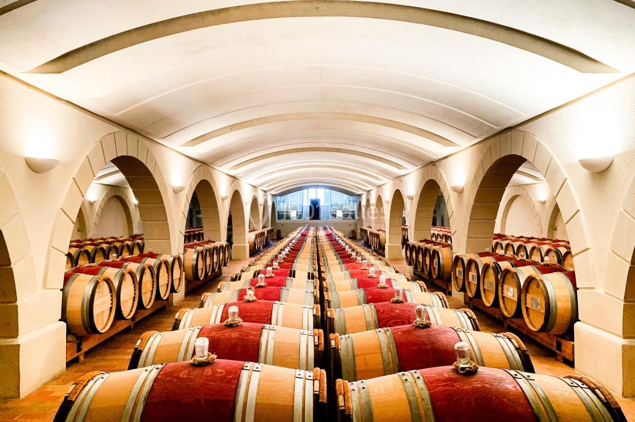 Location salle Néac (Gironde) - Château Haut Chaigneau #3