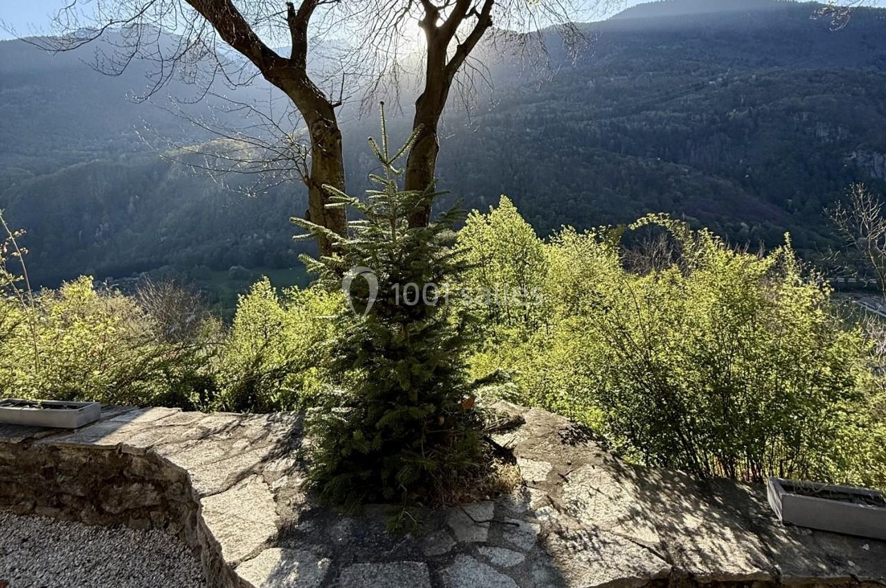 Un petit sapin sur une terrasse en pierre, entouré de végétation, avec une vue sur des montagnes ensoleillées.