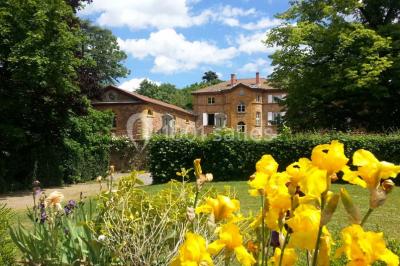 Location salle Savigny (Rhône) - Domaine de Tourieux #24