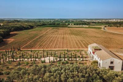Chambre lumineuse avec lit double, tête de lit rouge, murs en pierre, grandes fenêtres et mobilier classique.