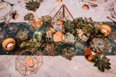 Location salle Montauroux (Var) - L'occidentale #20