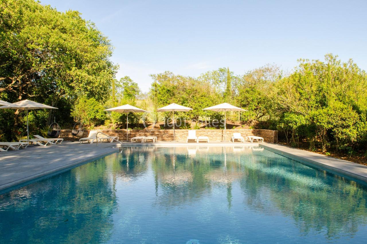 Piscine extérieure entourée de chaises longues, parasols et végétation luxuriante sous un ciel dégagé.