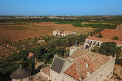 Miniature Location salle Servian (Hérault) - Château Hermitage de Combas #6 Plan illustré du domaine Château Hermitage de Combas avec localisation des bâtiments, parkings et espaces extérieurs.